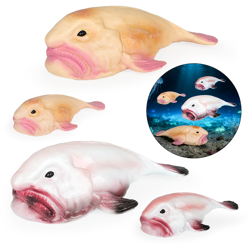 Kids Education In Australia - Oenux australie poisson de mer profonde
