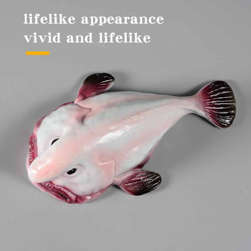 Australie Deep-Sea Blobfish Ps - Kids Education In Australia avis et prix