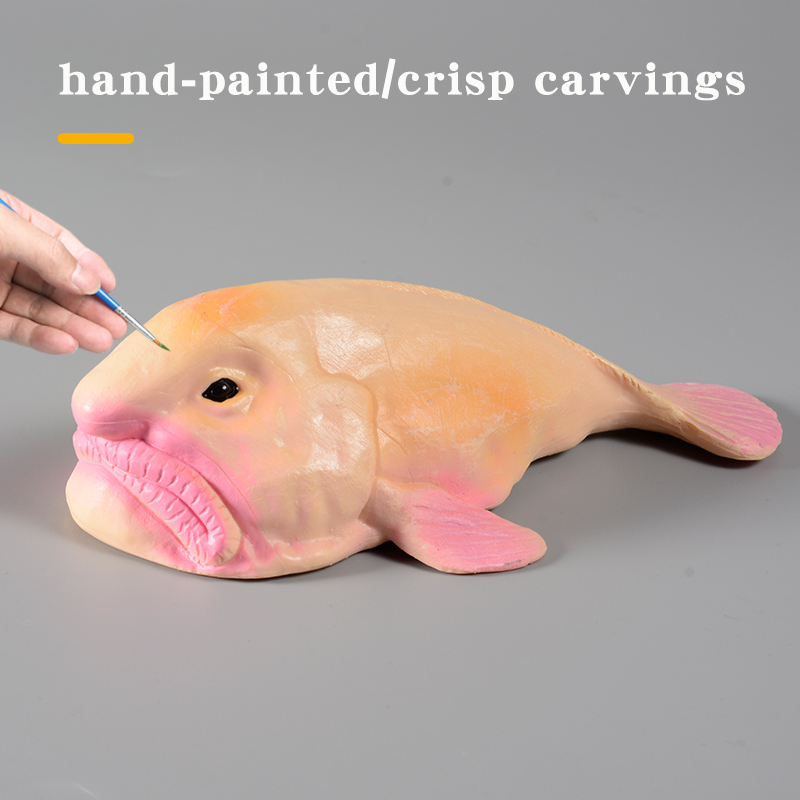 Australie Deep-Sea Blobfish Ps - Kids Education In Australia avis et prix