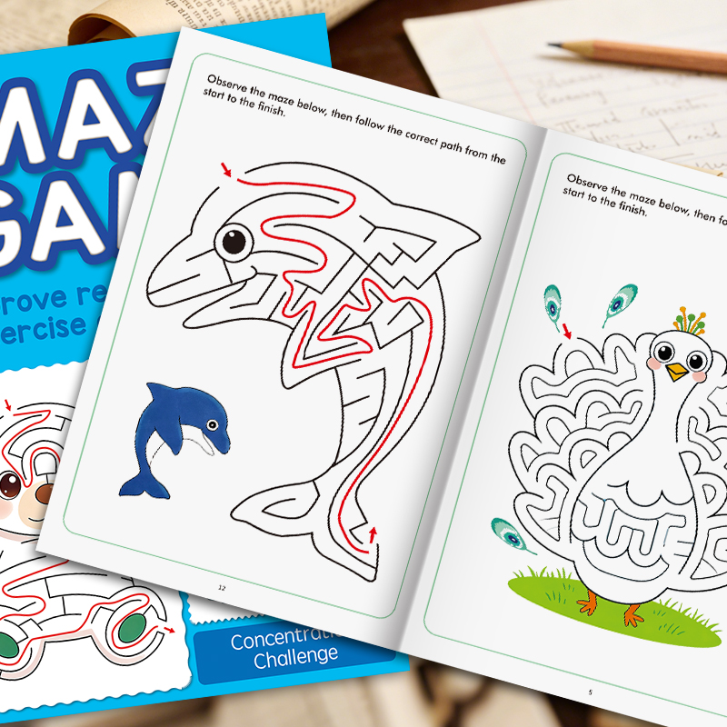 Livre de labyrinthes pour enfa - Learning Workbook Preschool avis et prix